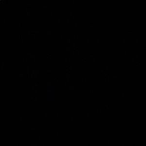 Meet your Posher, Brock